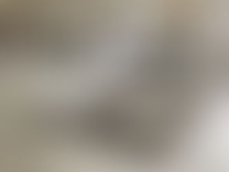 IDA B. WELLS AND OTHER BLACK SUFFRAGISTS ARE RECOGNIZED ON THE 100TH ANNIVERSARY OF WOMEN'S SUFFRAGE