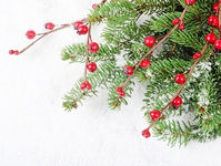 Caregiving During the Holidays