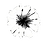IMG_1148 2_edited.png