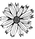 IMG_1139_edited.png