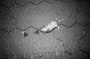 R0001957_b-2.jpg