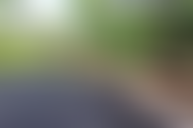 Queda de árvore causa danos à rede elétrica na Praça da Abolição