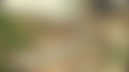 árvore quase atinge carro em microexplosão em Araraquara; ventos chegaram a 90 km/h