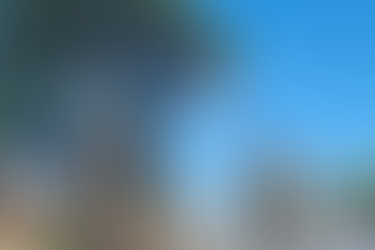 Prefeitura realiza poda e remoção de árvores condenadas na cidade