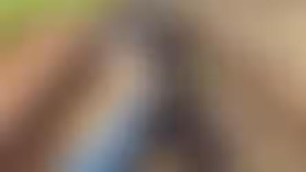 Trem de carga descarrila após bater em caminhão em Araraquara