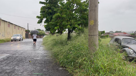 Mato alto preocupa moradores no bairro IV Centenário