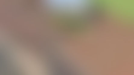 Dois moradores de Matão ficam gravemente feridos após colisão com carreta na SP-253