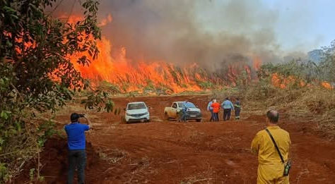 Incêndio de grandes proporções atinge canavial na região de Santa Eudóxia