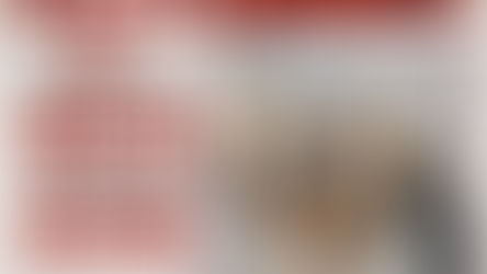 Cão da raça Shih Tzu desaparece em Matão e família pede ajuda para encontrá-lo