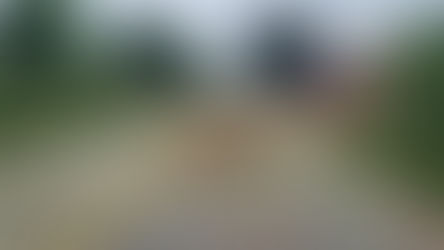 Árvore de grande porte cai e interdita a Via Clito Bastia em Matão