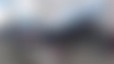 Polícia Militar localiza moto abandonada em mata do Conjunto João Vital, em Matão