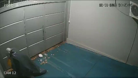 Ladrão se acidenta ao tentar furtar uma lâmpada