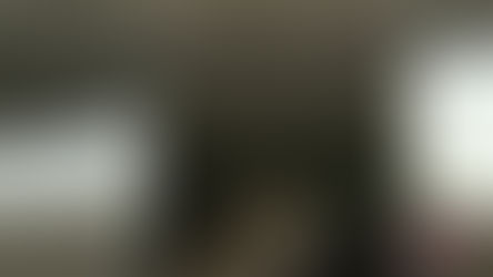 Vídeo: loja de móveis e decoração é invadida durante a madrugada na Avenida Padre Nelson