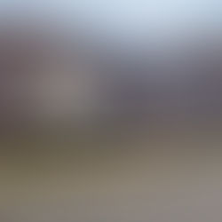 Prefeitura de Matão realiza limpeza de casa abandonada na Vila Guarani