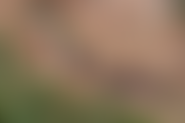 Crime ambiental: moradores denunciam esgoto sendo despejado em terreno no Primavera