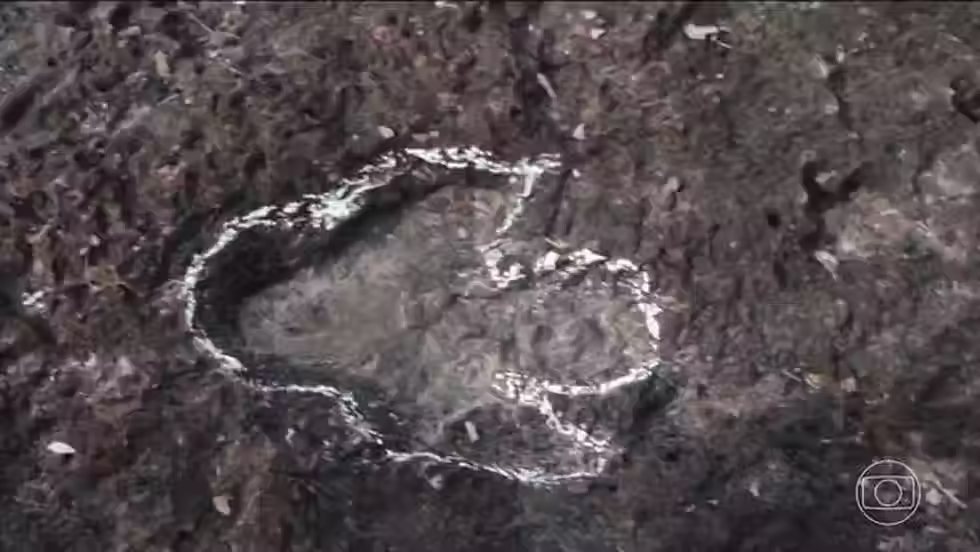 Pesquisadores de Roraima descobrem pegadas de dinossauros na Amazônia — Foto: TV Globo/Reprodução