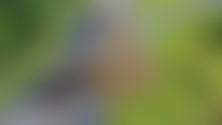 Caminhão carregado com ração tomba e bloqueia alça de acesso e rodovia na região