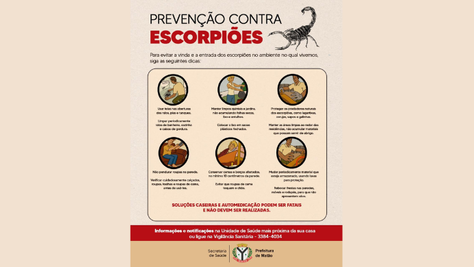 Escorpiões: Secretaria de Saúde intensifica orientações sobre aparecimento, prevenção de acidentes e serviços disponíveis à população
