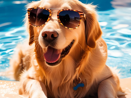 AI dog poolside with sunglasses