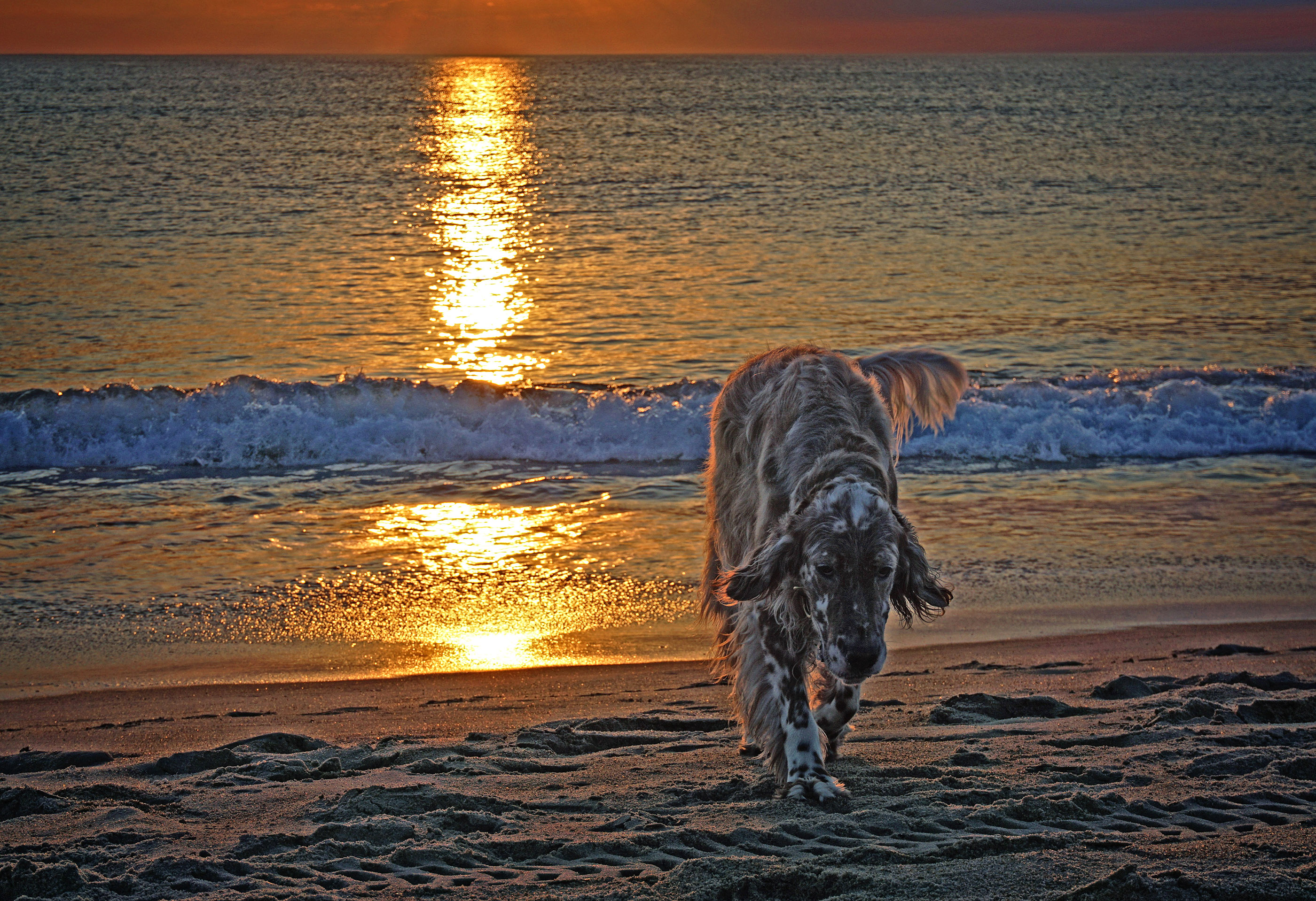 Ransom at daybreak