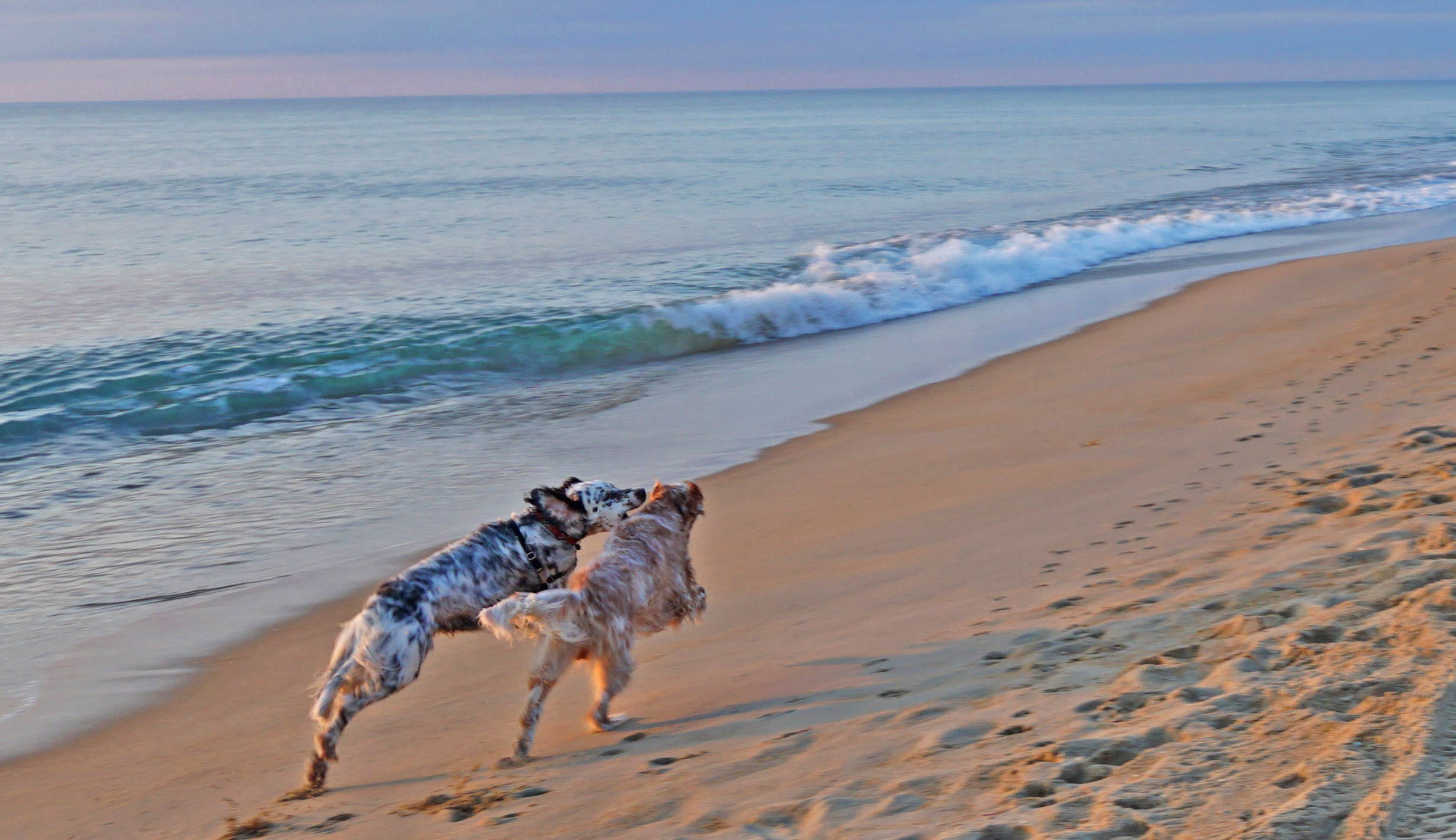 8_15_running boys