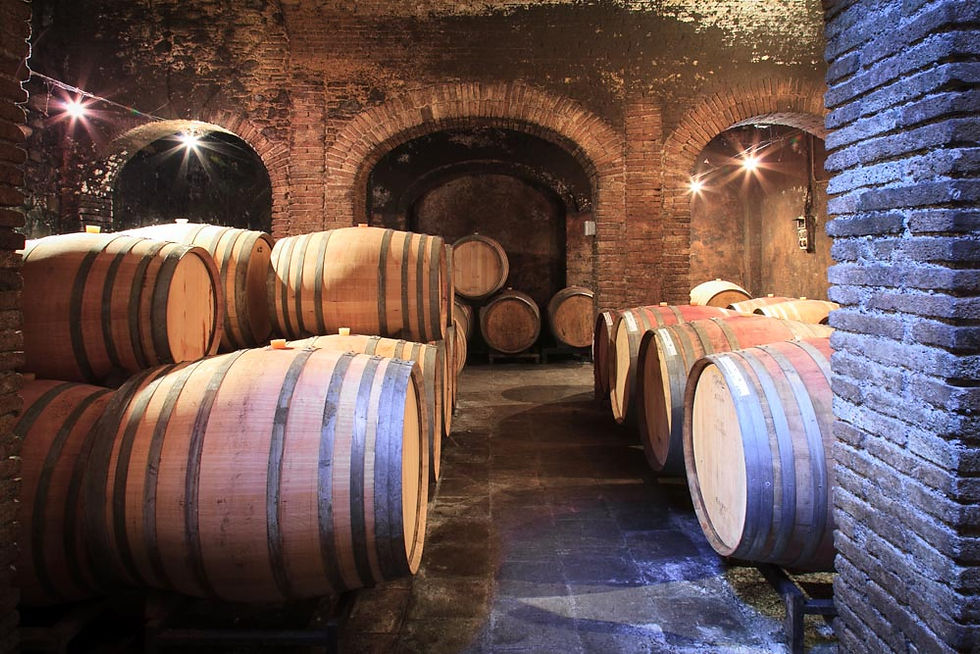 Miniatura: Tour + Tasting