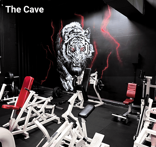 Max Fitness Ads (50) (1).png