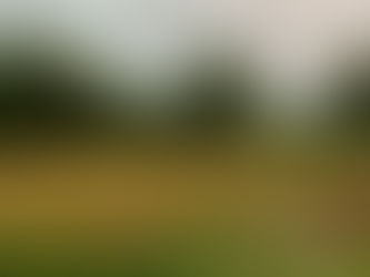 Story 3 | Update - Art in Nature