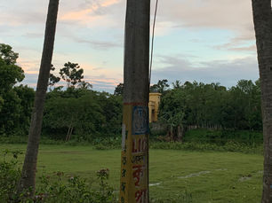 Story 3 | Update - Rural Bengal