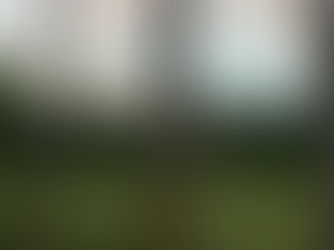 Story 3 | Update - Rural Bengal
