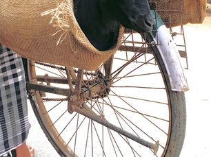 Story 3 | Update - Cycle Power