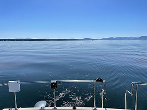 IMG_5850.jpg