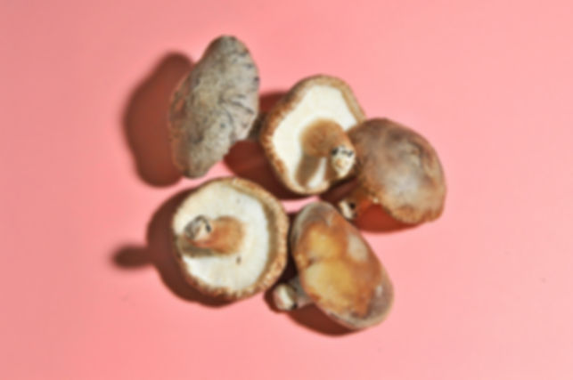 Fresh Shiitake Mushrooms