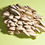 Thumbnail: Fresh Pearl Oyster Mushrooms
