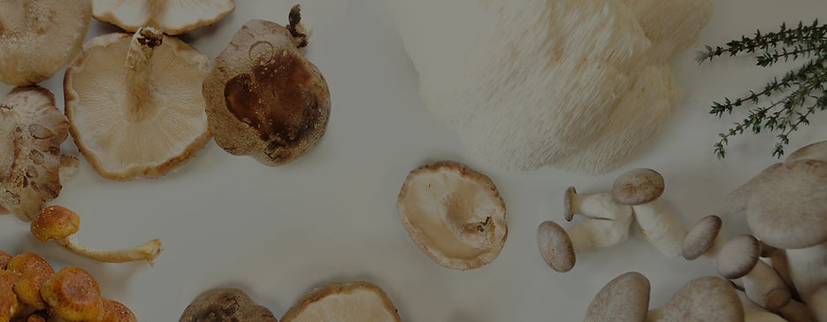mushroom.jpg