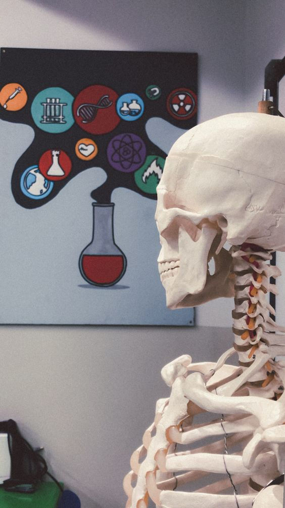 Inicio de la Anatomía