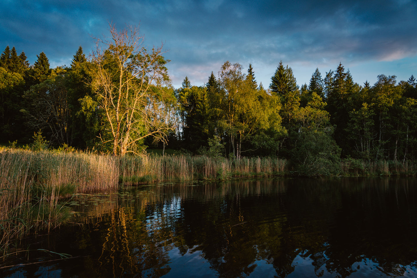 Abendstimmung in Zinkgruvan