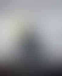 Revolutionary posters