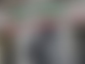 کبوتران آزادی