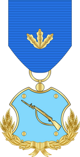  جزئیات بیشتر نشان تیراندازی درجه یک نوع یک - ارتش شاهنشاهی ایران