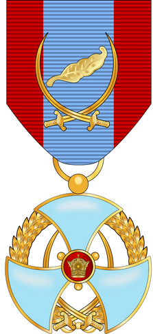 نشان درجه یک لیاقت نظامی - نوع اول