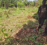 Donate to build a home for Jinja Loyal chilcren