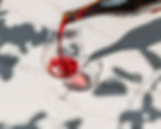 Aarth menu shoot (diffused light) 4 (2).jpg