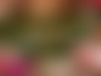 Graphic titled “Give Her the Flowers (While She’s Still Busy Watering the Garden)” featuring a Black woman holding a bouquet of flowers surrounded by colorful blooms, symbolizing appreciation, leadership, and recognition of women’s contributions to community and philanthropy.