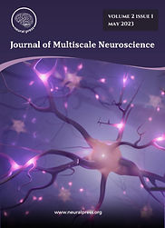 NEUROPRESS (1200 x 1500 px) (1200 x 1700 px) (1).jpg