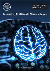 NEUROPRESS (1200 x 1500 px) (1200 x 1700 px) (13).jpg