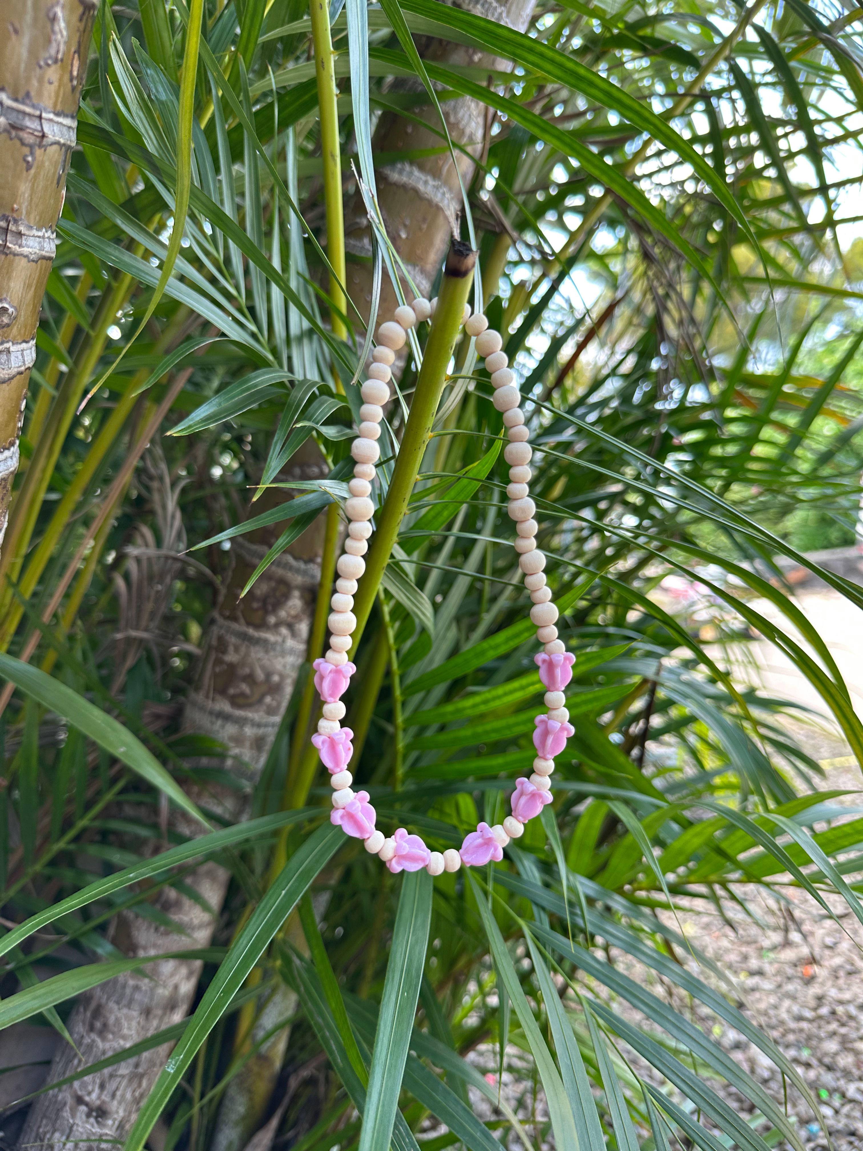 Pink Crown Flower