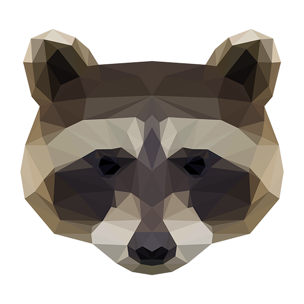 Polygonal Raccoon Face