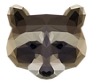 Geometric Racoon
