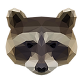 geometrische Racoon
